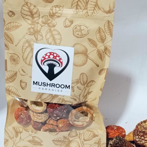 Dried Amanita Muscaria Closed Caps