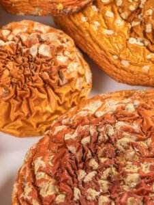 Dried Amanita Muscaria Closed Caps