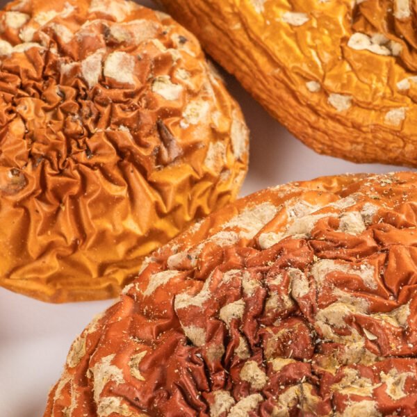 Dried Amanita Muscaria Closed Caps